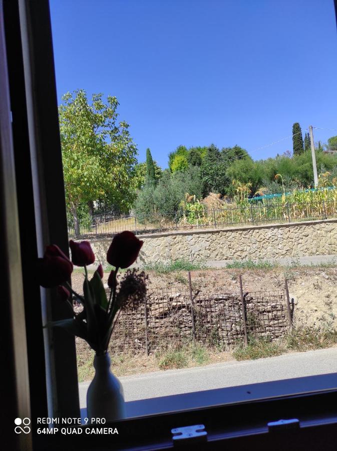 Rohouse -Experience- Villa Arezzo Esterno foto