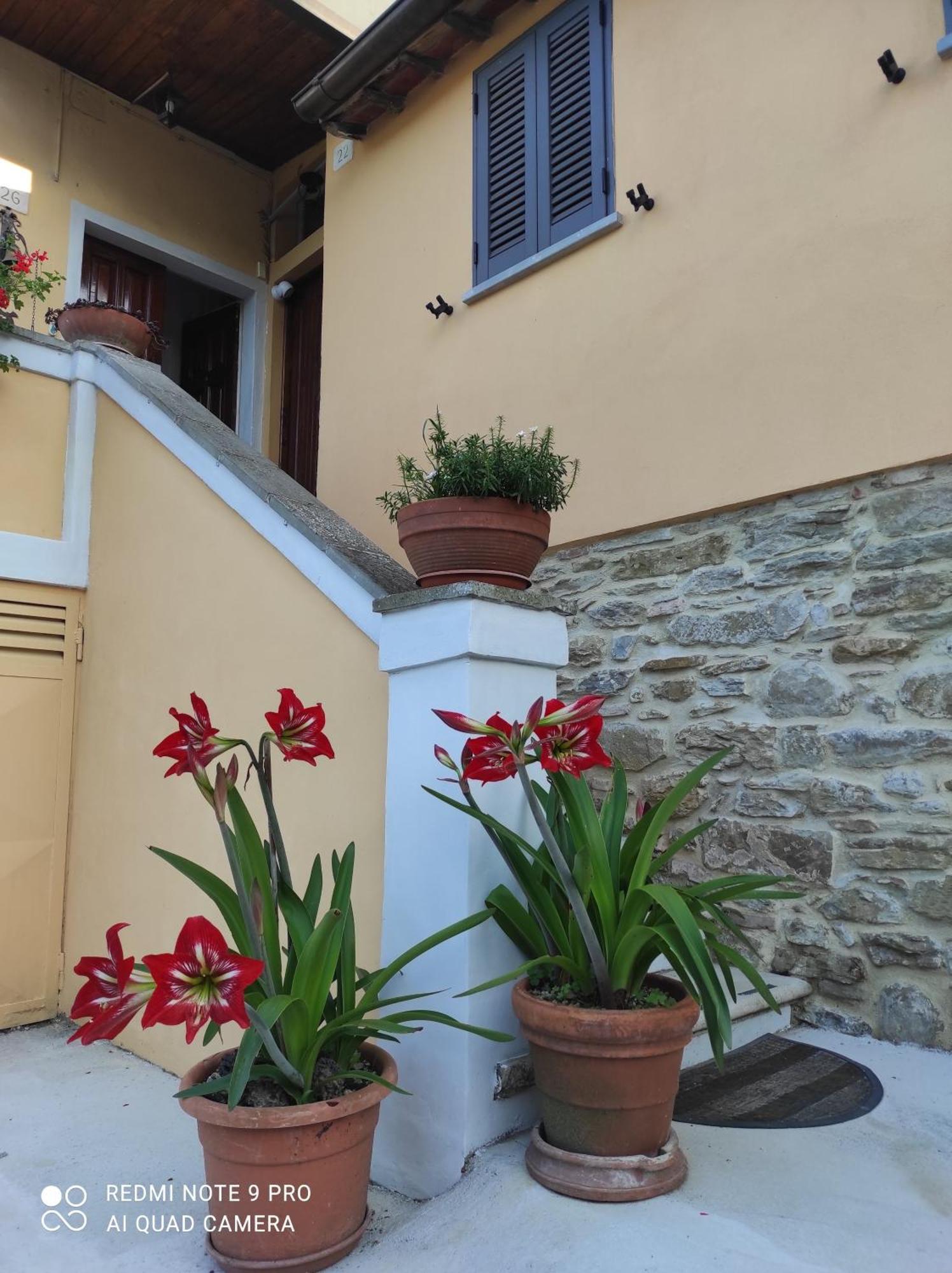 Rohouse -Experience- Villa Arezzo Esterno foto